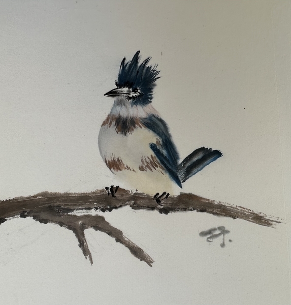 Kingfisher